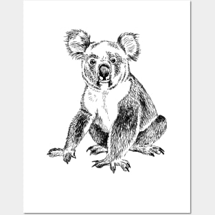 Koala illustration Posters and Art